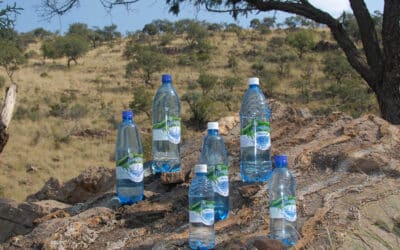 Guest Article: Hoogland Mineral Water