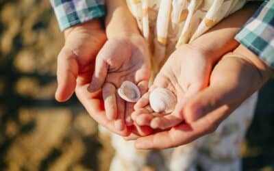 Guest Article: Paternity Success in the High Court and Legislative Change