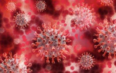 New Corona Virus regulations coming into effect when entering Austria